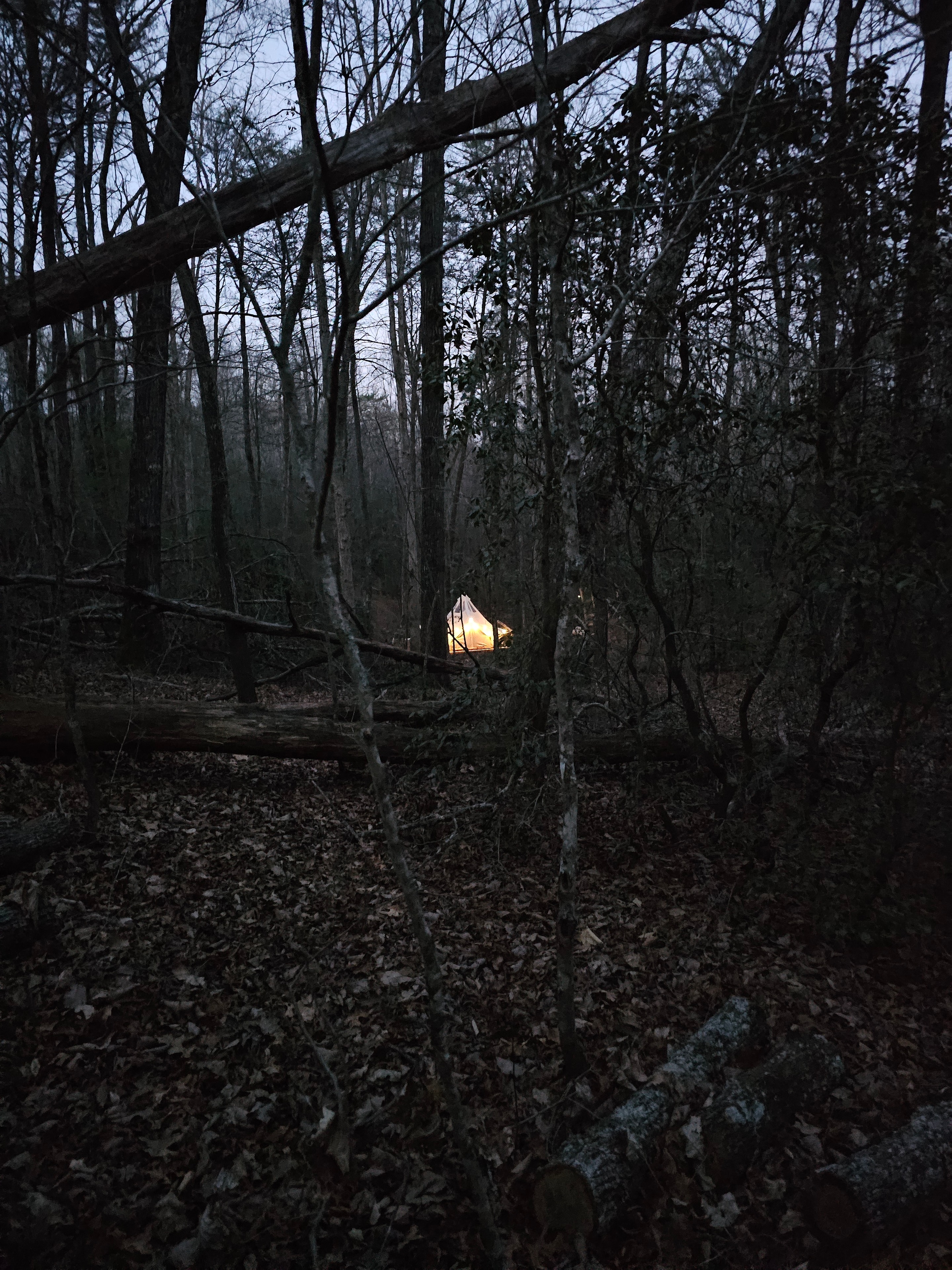 Glowing glamping tent in the dark forest